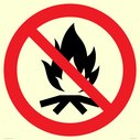 prohibition-no-campfire~